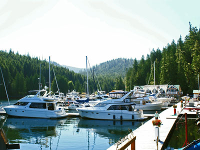 Full service marina in the Canadian wilderness.